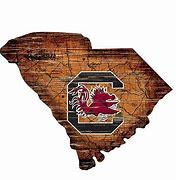 South Carolina Gamecocks Distressed 12