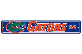 Florida Gators Team Color Street Sign Décor 4in. X 24in.